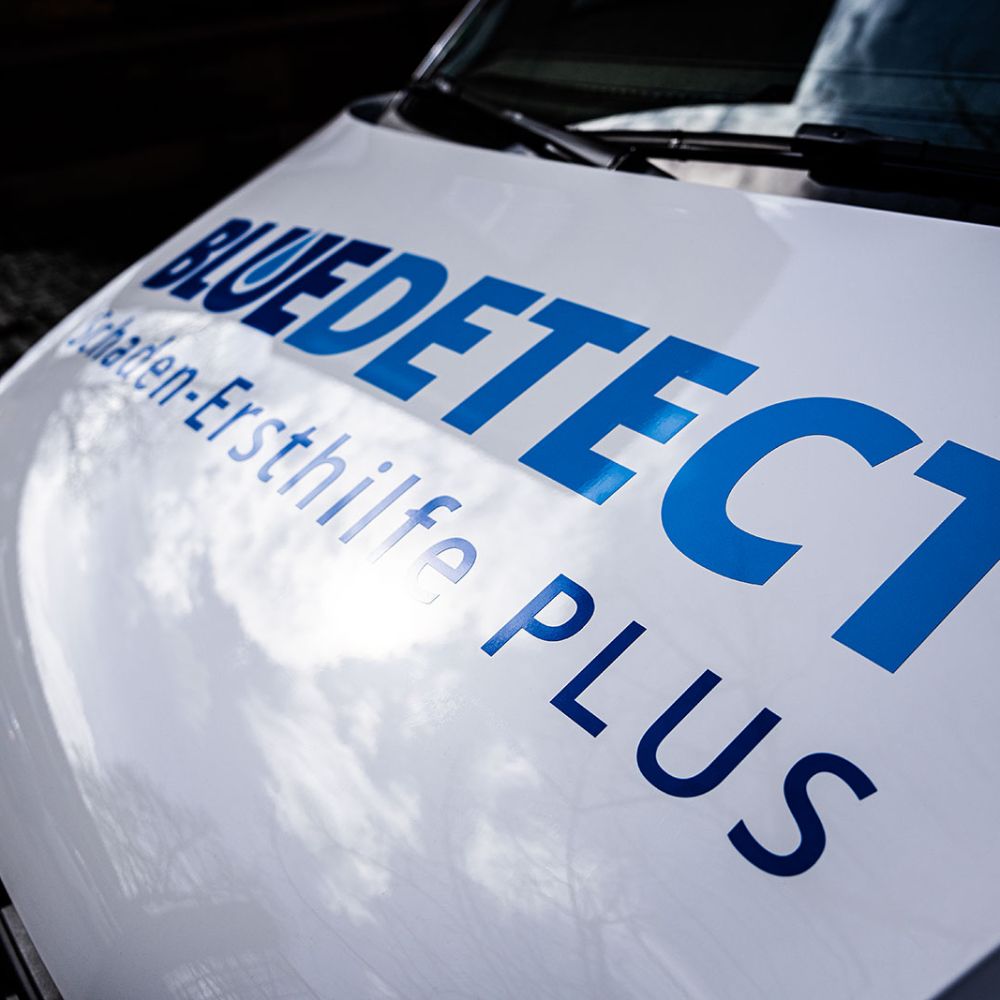 Franchisepartner bei Blue Detect werden | Österreich und Deutschland | Kassel